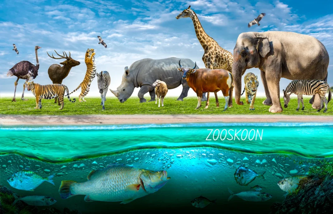 Introduction to Zooskooñ , this blog post is relevant to animals and zoo. its very informative and knowledgeful